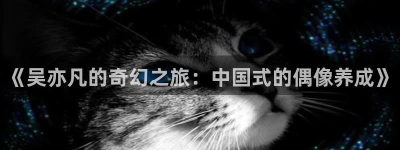 777米奇奇米影视四色官网：《吴亦凡的奇幻之旅：中国式的偶像养成》